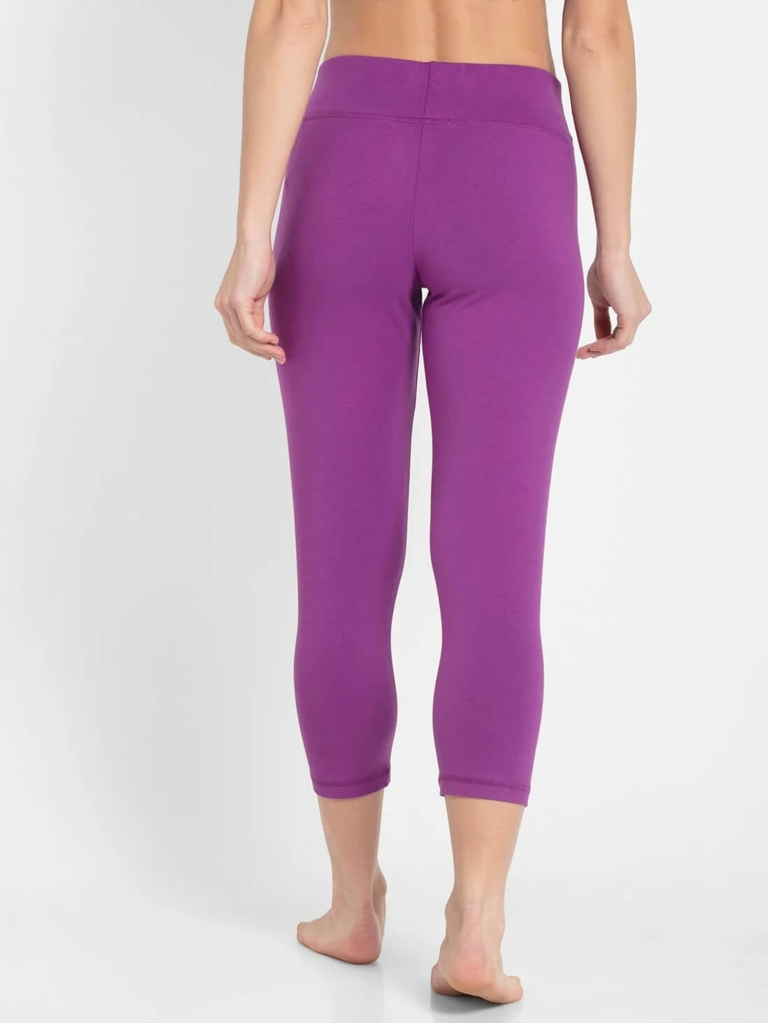 jockey 1391 purple back