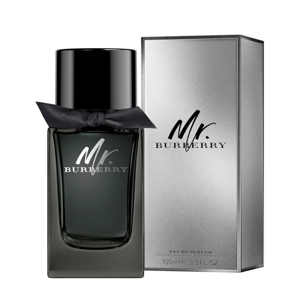 burberry mr burberry men edp