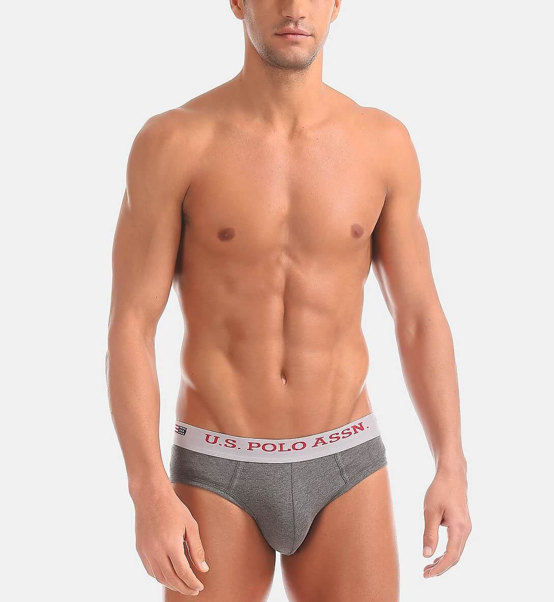 U S Polo Assn Assorted Brief for Men #I005