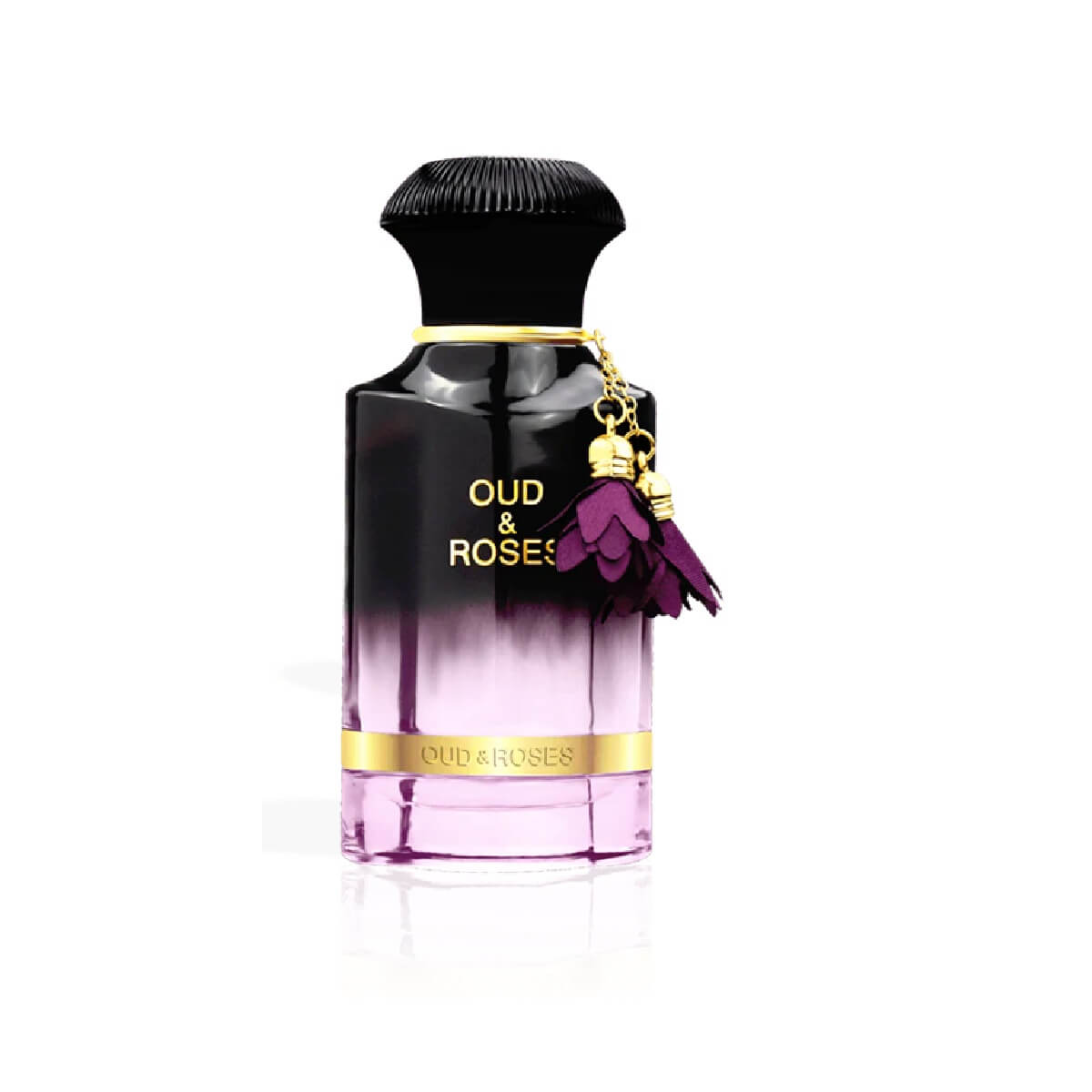 oud and roses ahmed al maghribi
