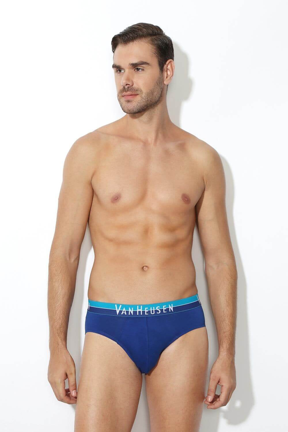 Van Heusen Assorted Brief #10005