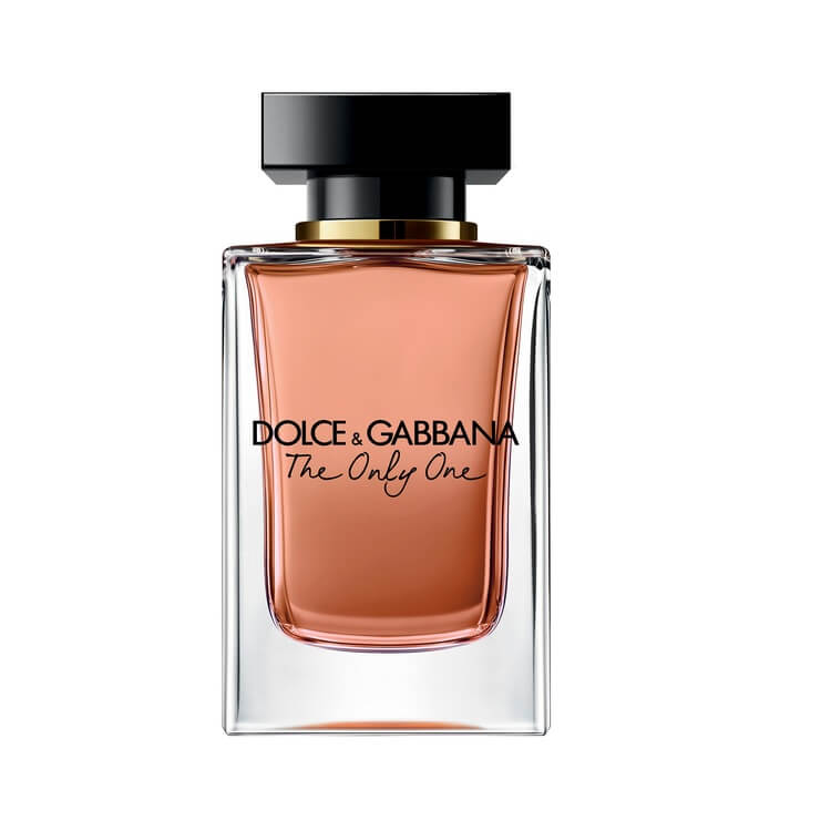 dolce and gabbana the only one