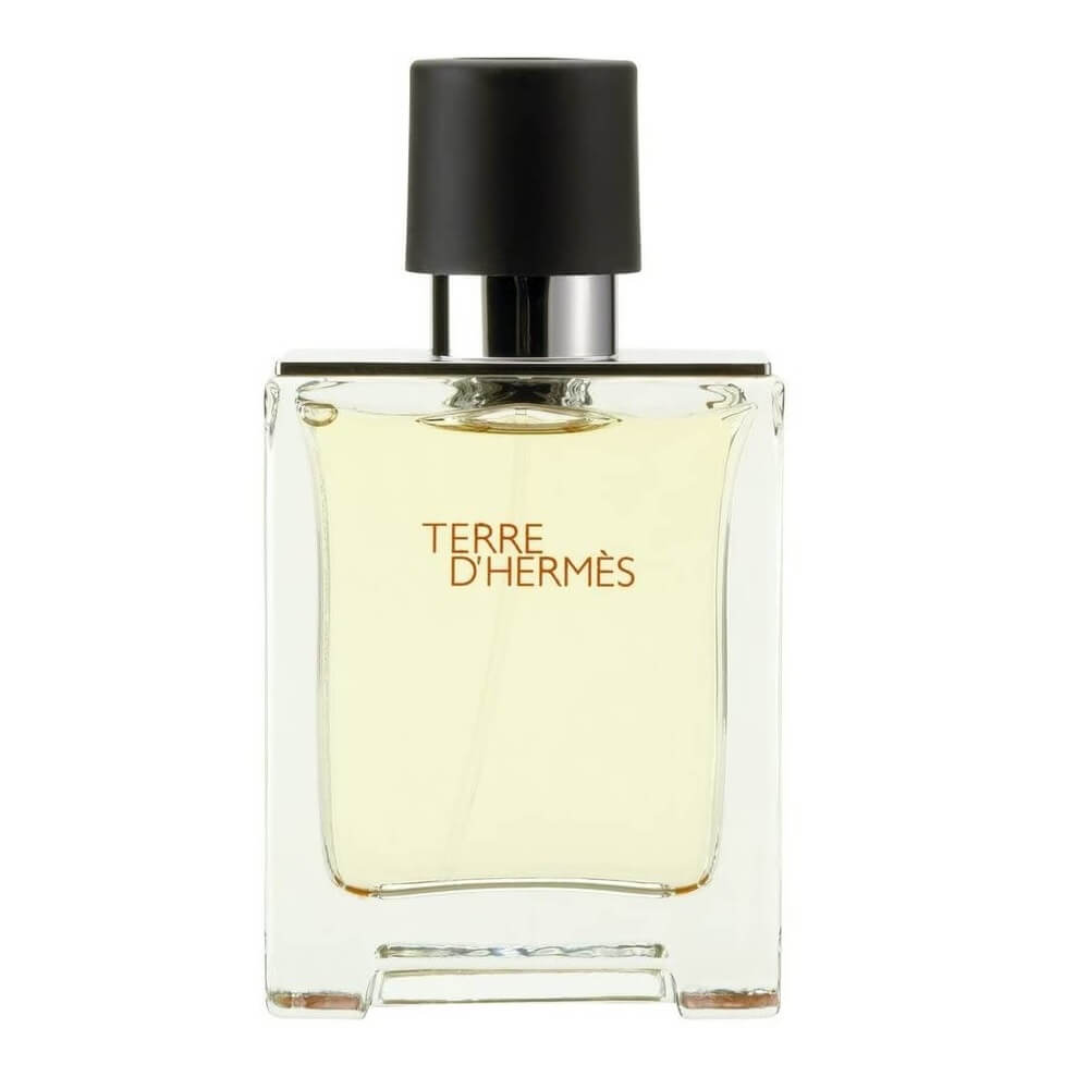 Hermes Terre D'Hermes for Men 100ml EDT – Route2Fashion